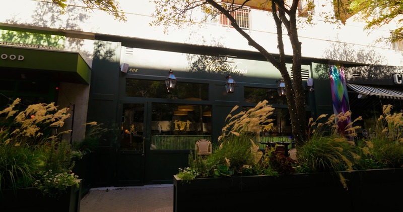 Outdoor decorative plants