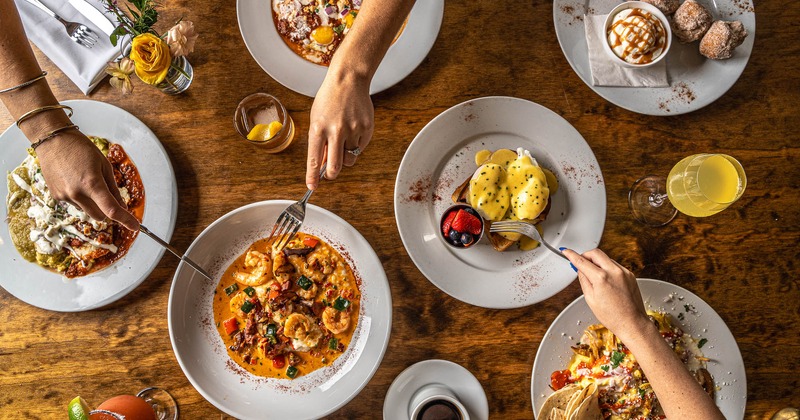 Interior, rack with bottles of drink