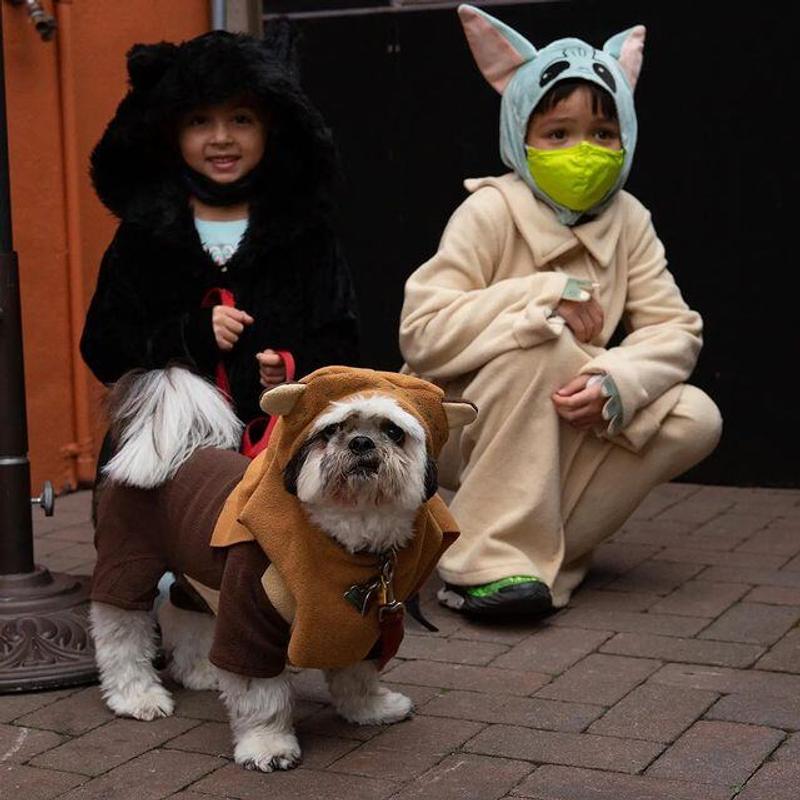 patio gallery photo number 4