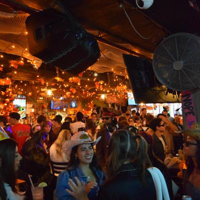 gallery photo number 453