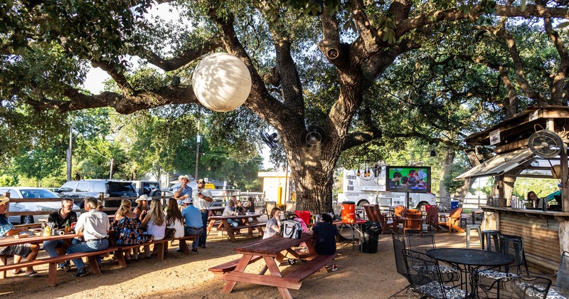 A large tree and the patio