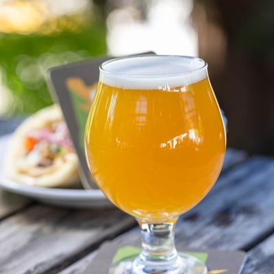 gallery photo number 22