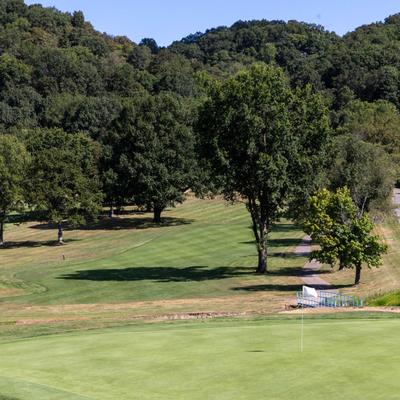 gallery photo number 10