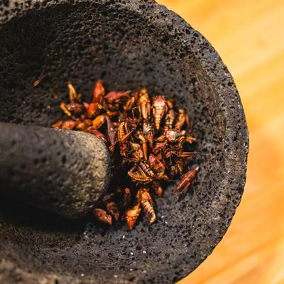 Mortar and pestle, Chapulines.
