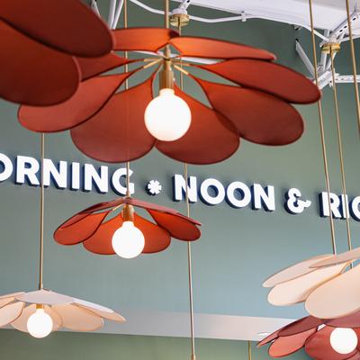 Interior, Petals pendant lights, wall sign reading Morning Noon and Right.