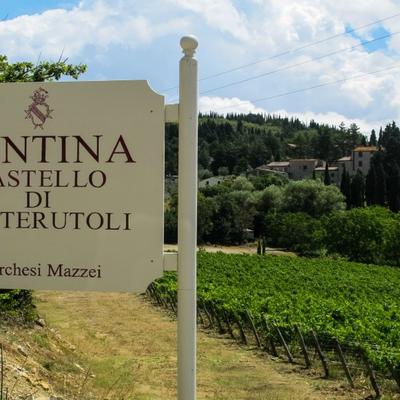 Vineyard sign beside rolling grapevines.