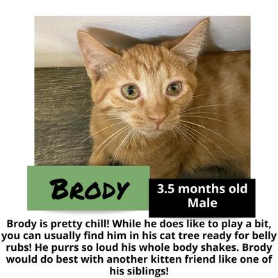 gallery photo number 14