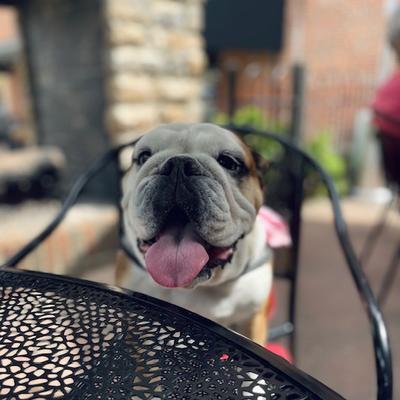 gallery photo number 34