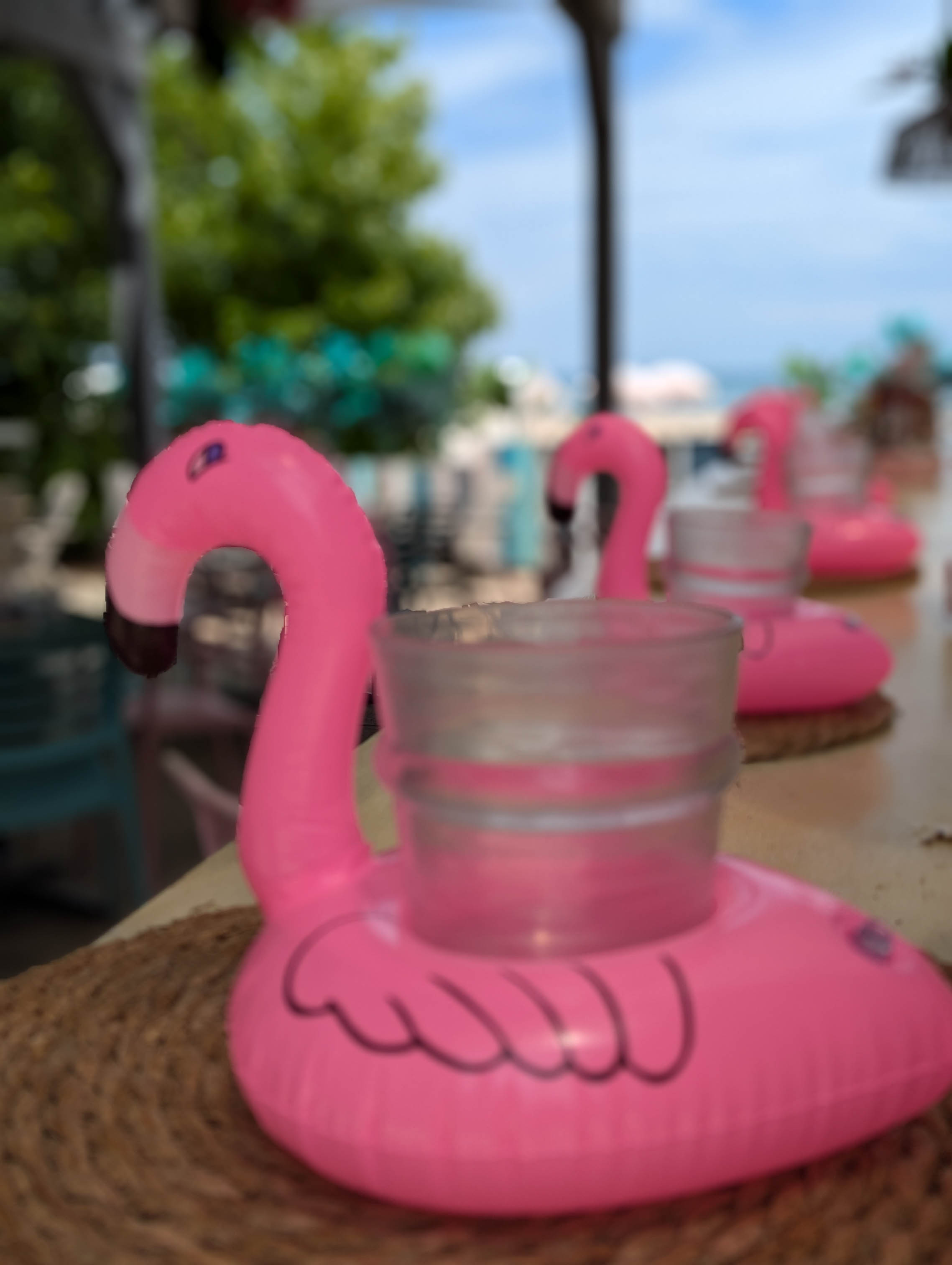 slideshow photo number 6