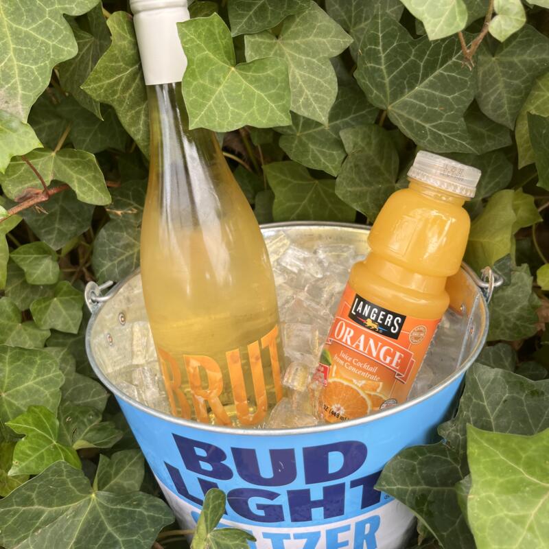 Mimosa Bottle Bucket photo