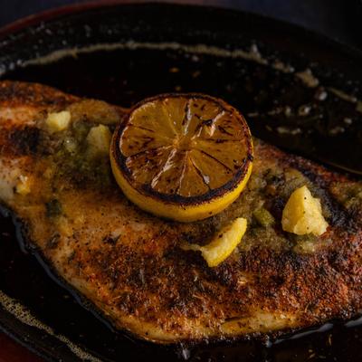 Red snapper, closeup.