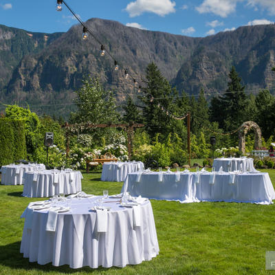 Tables setup for wedding celebration