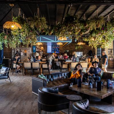 Interior with numerous hanging plants, lether furniture and a view of the bar.