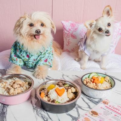 Two small dogs sitting in front of bowls filled with food.