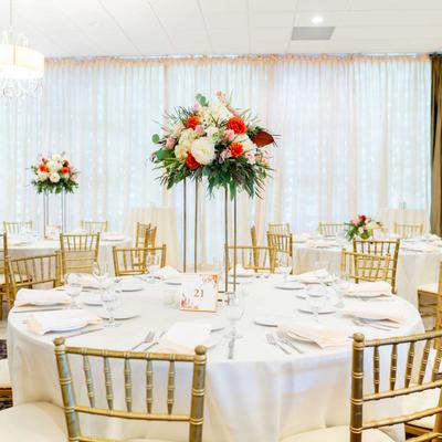 gallery photo number 57