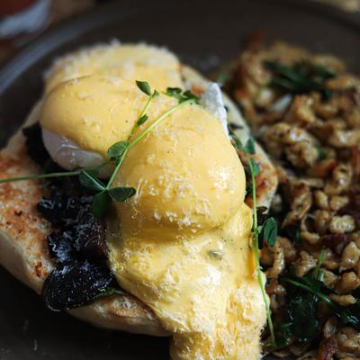 A close-up of eggs Benedict with microgreens.