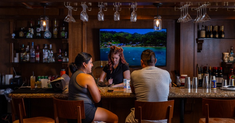 Bar, bartender, guests, tv above