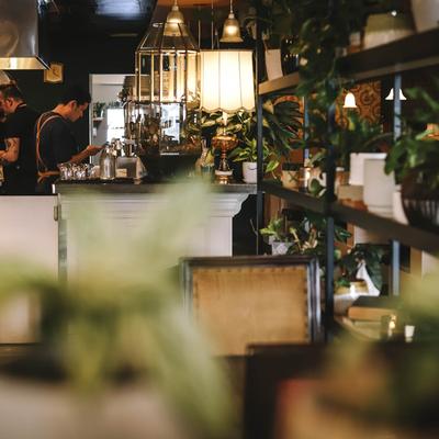 Interior featuring shelves with potted plants, warm lighting, and a counter.