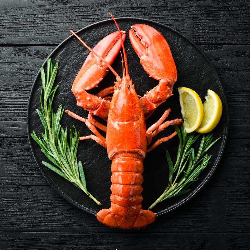 Lobster DInner photo