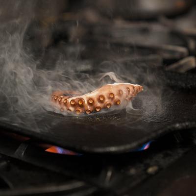 Octopus tentacle searing on a pan.