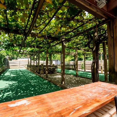Patio outdoor seating with greenery cover.