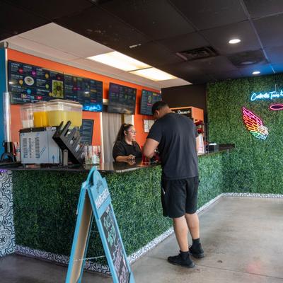Counter service area with digital menus and artificial foliage wall with a neon sign.