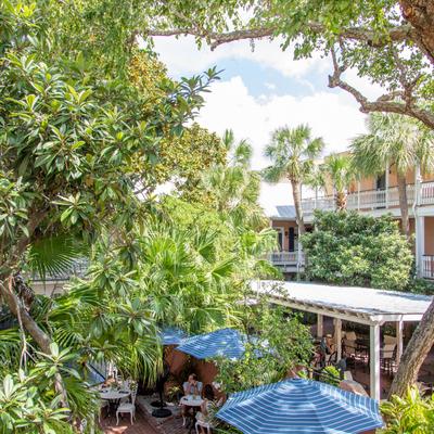 Serene outdoor seating area  with lush greenery