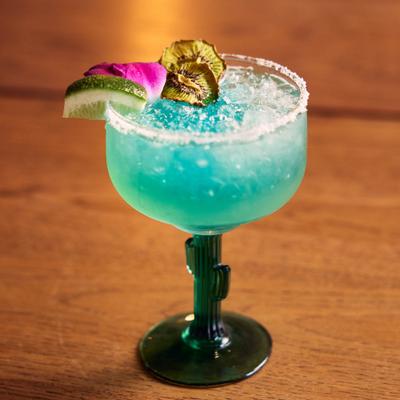 gallery photo number 16