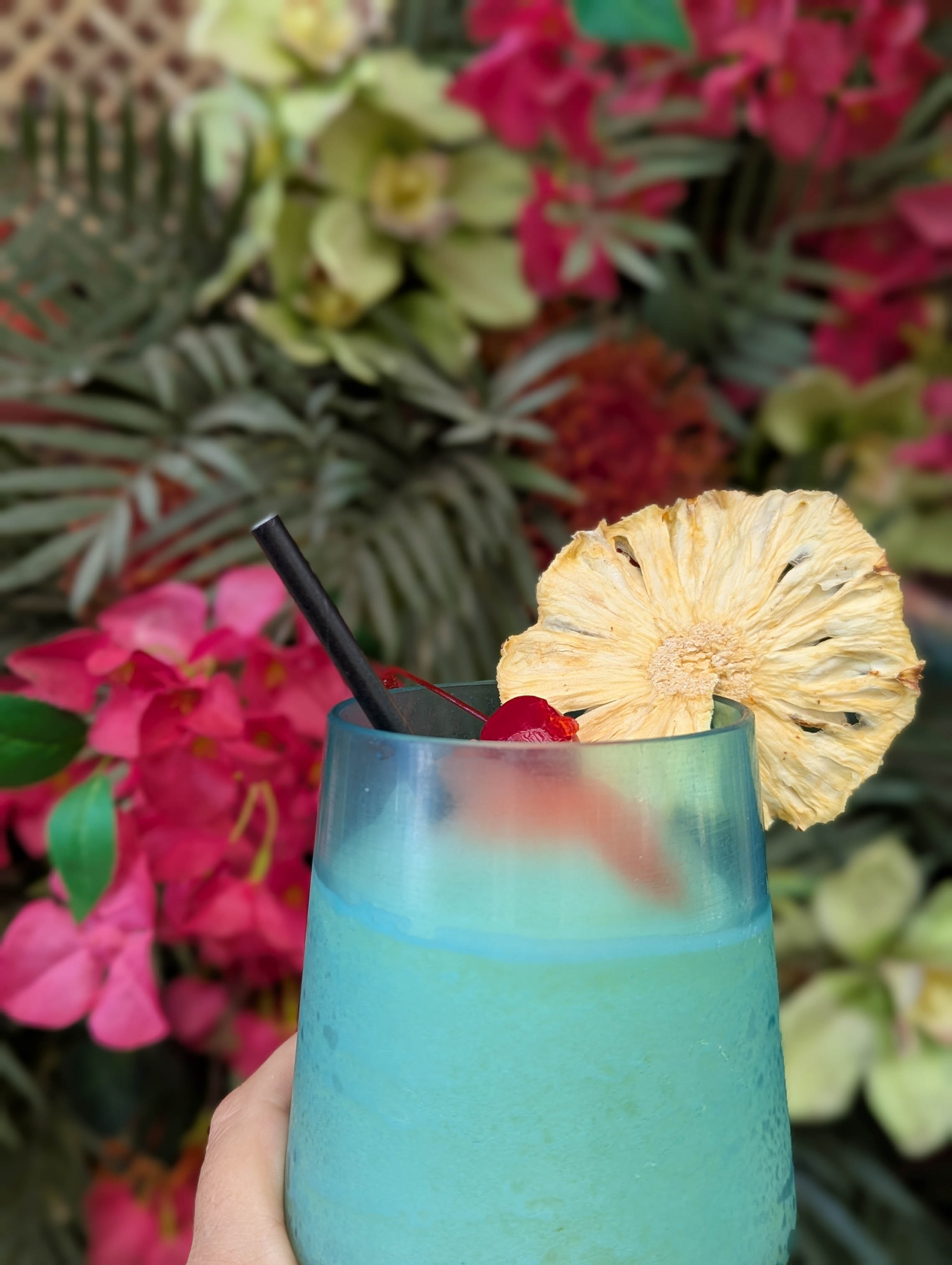 slideshow photo number 5