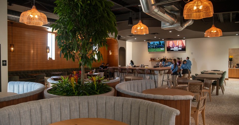 Modern lounge interior with gray booths, a central plant, bar area, and pendant lighting