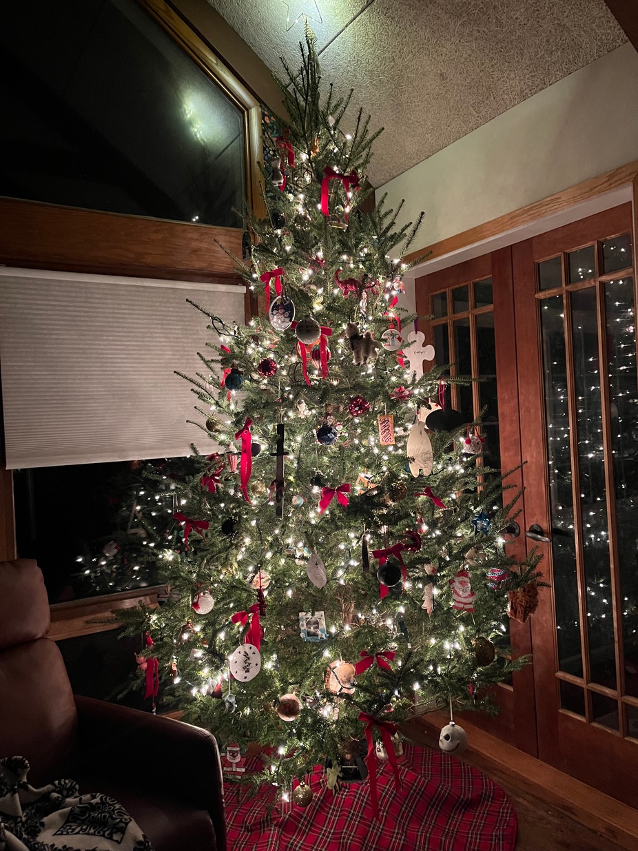 Santa visiting! event photo