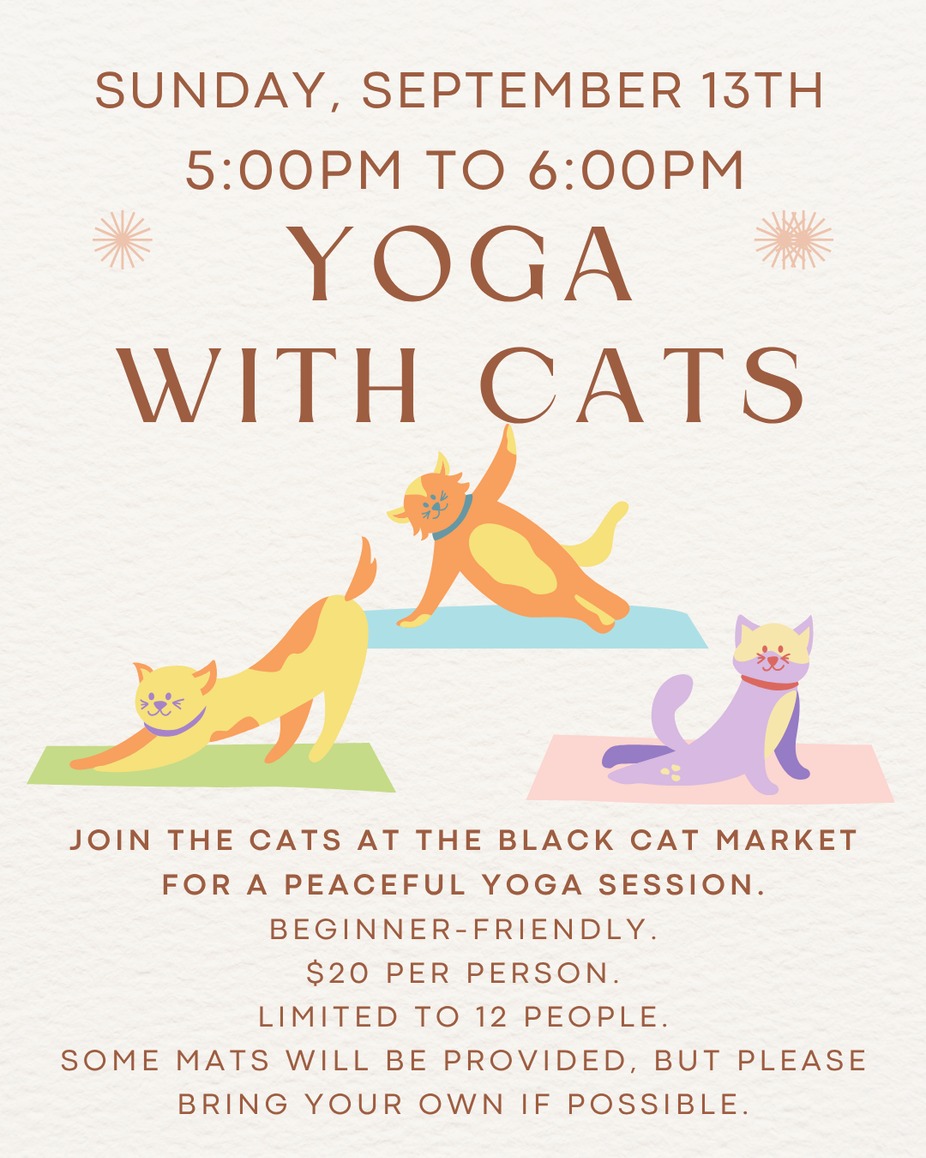 Yoga with Cats - September 13th event photo