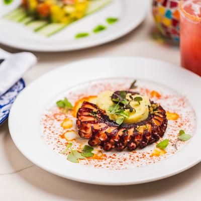 Grilled Spanish octopus, served.