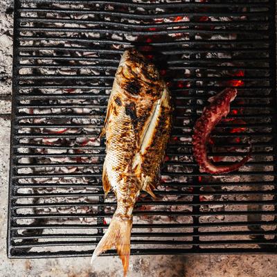 Grilling sea bass and octopus leg, top view.