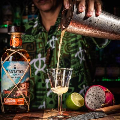 gallery photo number 12