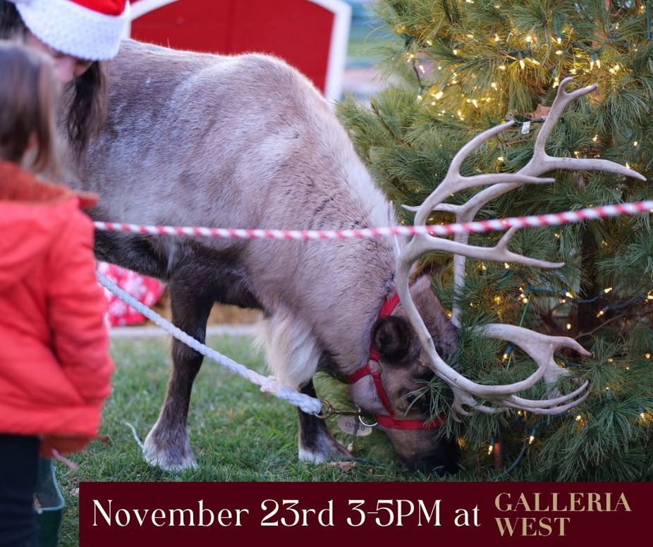 Santa's Reindeer are Coming to Town! event photo