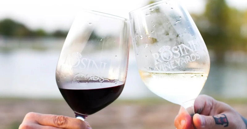 Toasting with red and white wine, close up
