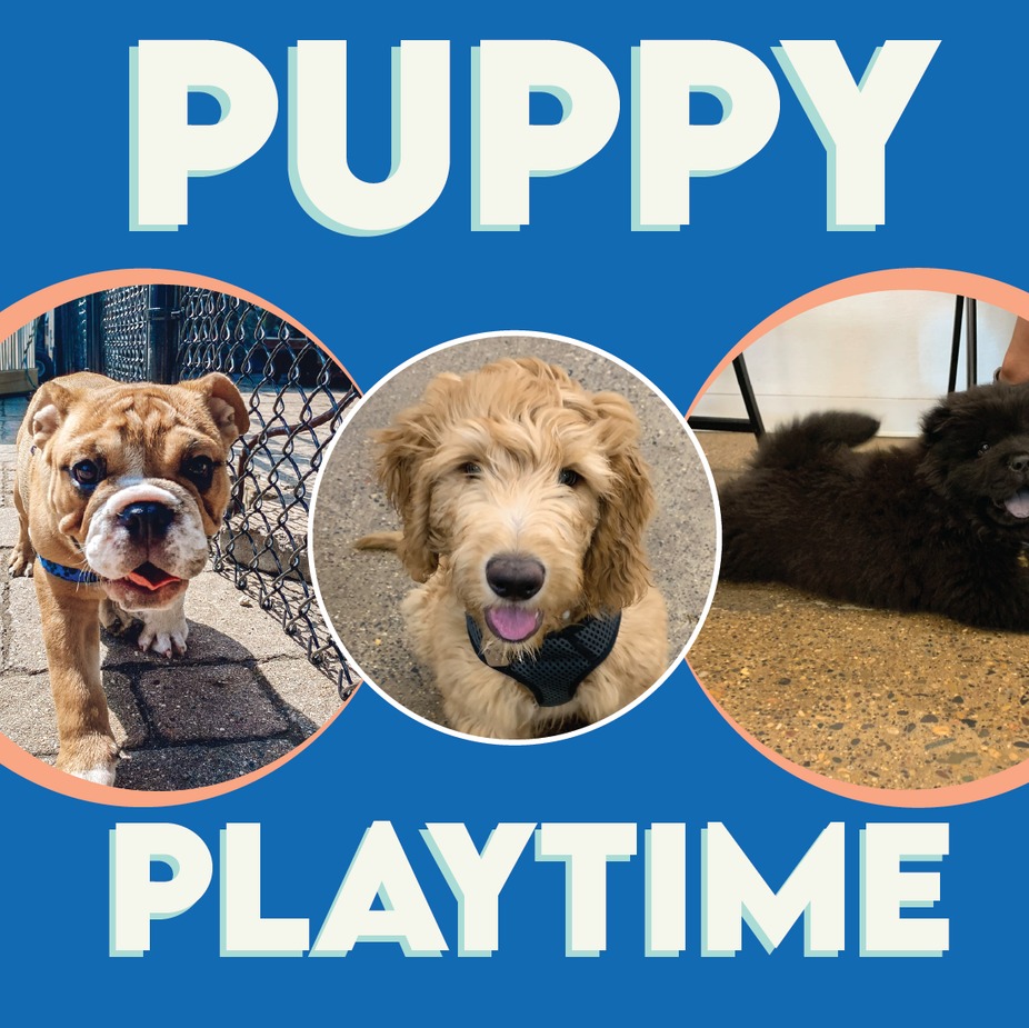 Unleashed Hounds and Hops Events