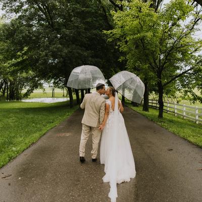 gallery photo number 61