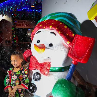 gallery photo number 22