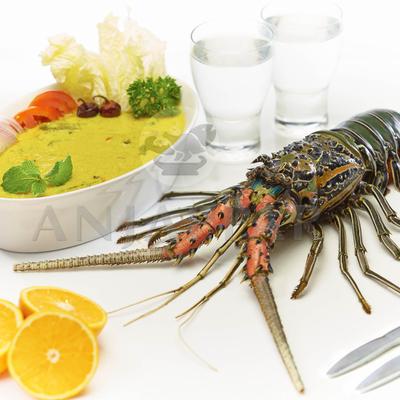 gallery photo number 31