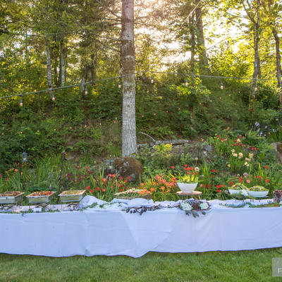 Table with food lined up and forrest in the back