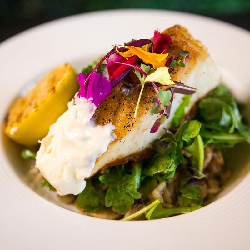 Chilean Sea Bass photo