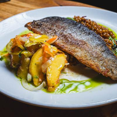 Salmon in the plate.