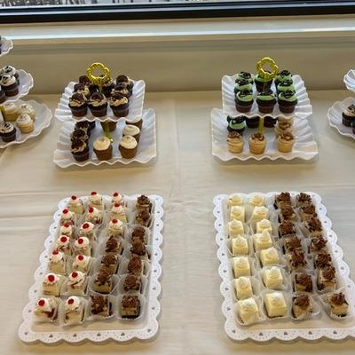 gallery photo number 51