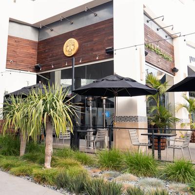 Garden area, planted trees.