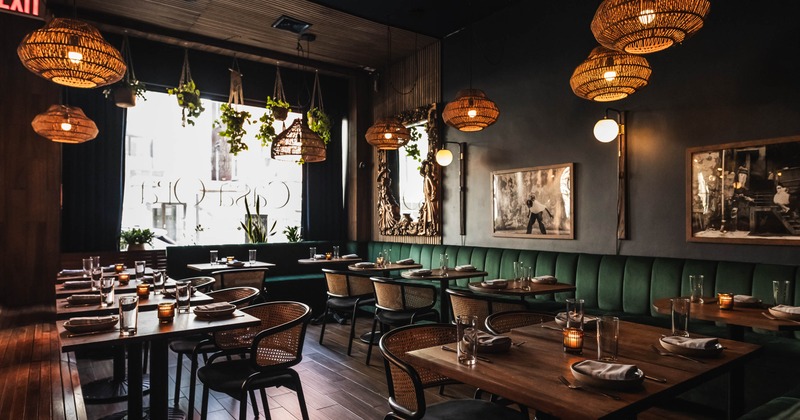 Interior, dining area, banquette seating with tables and chairs, shop window, hanging pant pots