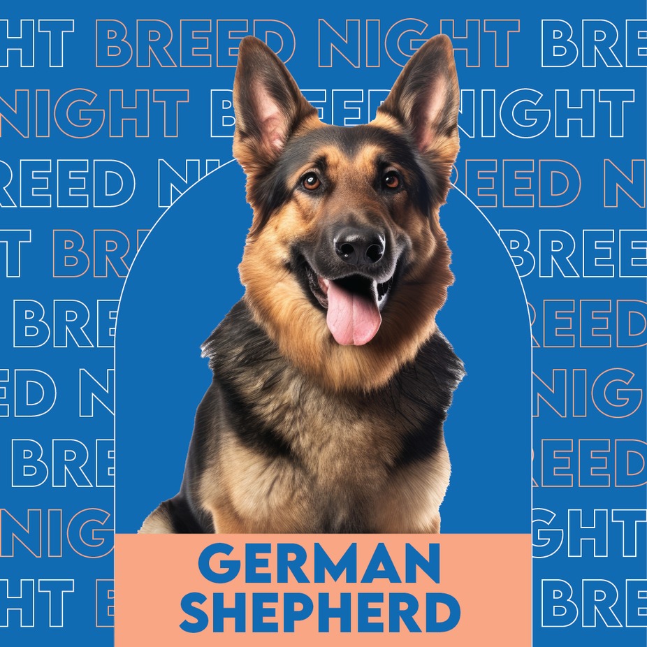 German Shepherd Breed Night event photo