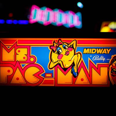 gallery photo number 15