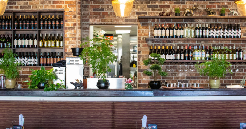 Interior, bar area